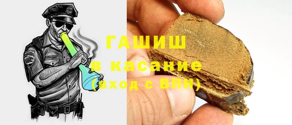 прущие грибы Лабытнанги