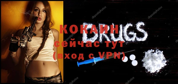 прущие грибы Лабытнанги