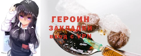 прущие грибы Лабытнанги