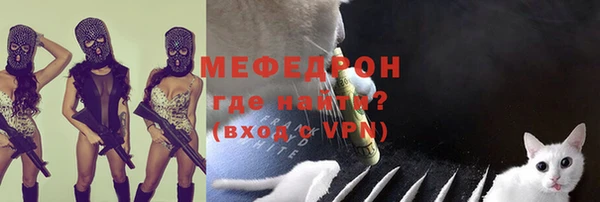 прущие грибы Лабытнанги