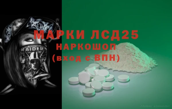 прущие грибы Лабытнанги