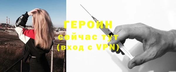 прущие грибы Лабытнанги