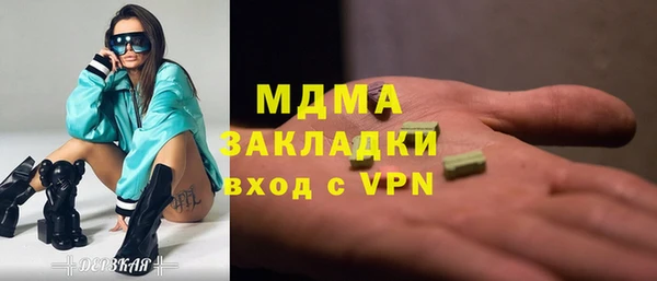 прущие грибы Лабытнанги