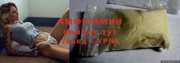 прущие грибы Лабытнанги
