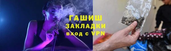 прущие грибы Лабытнанги