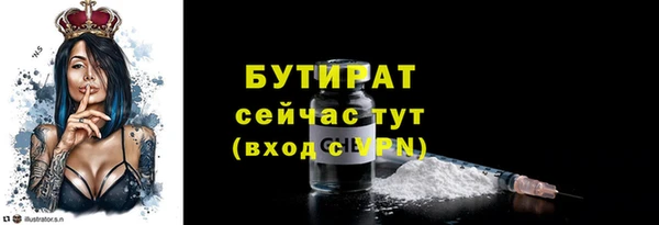 прущие грибы Лабытнанги