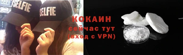прущие грибы Лабытнанги