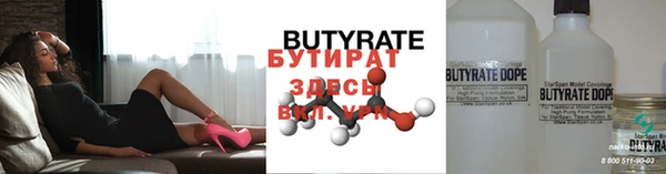 прущие грибы Лабытнанги