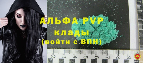 прущие грибы Лабытнанги
