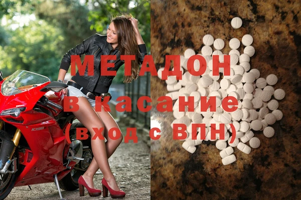 прущие грибы Лабытнанги