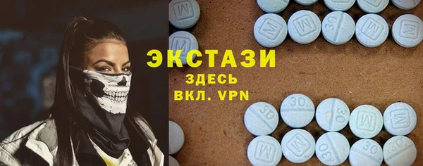 прущие грибы Лабытнанги