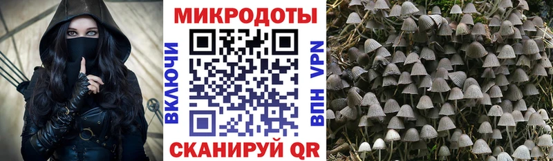 Псилоцибиновые грибы GOLDEN TEACHER  Купить где  Королёв 